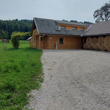 Apartma Markelj Radovljica Εξωτερικό φωτογραφία